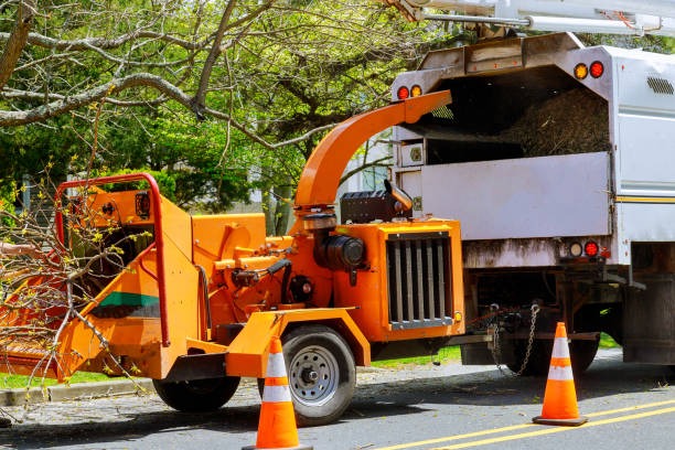 Best Tree and Shrub Care  in Fort Riley, KS